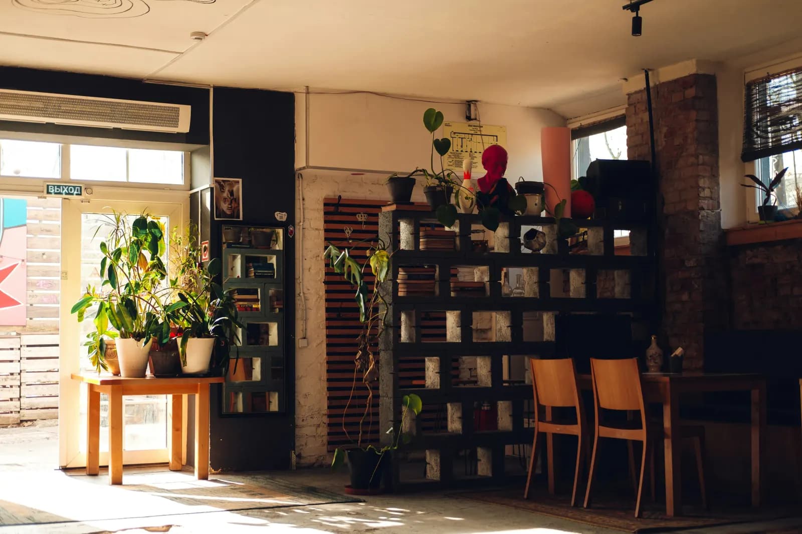 A cozy reading nook with a filled bookshelf, potted plants, and warm natural light.